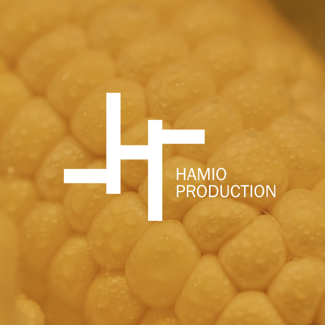HAMIO – Branding