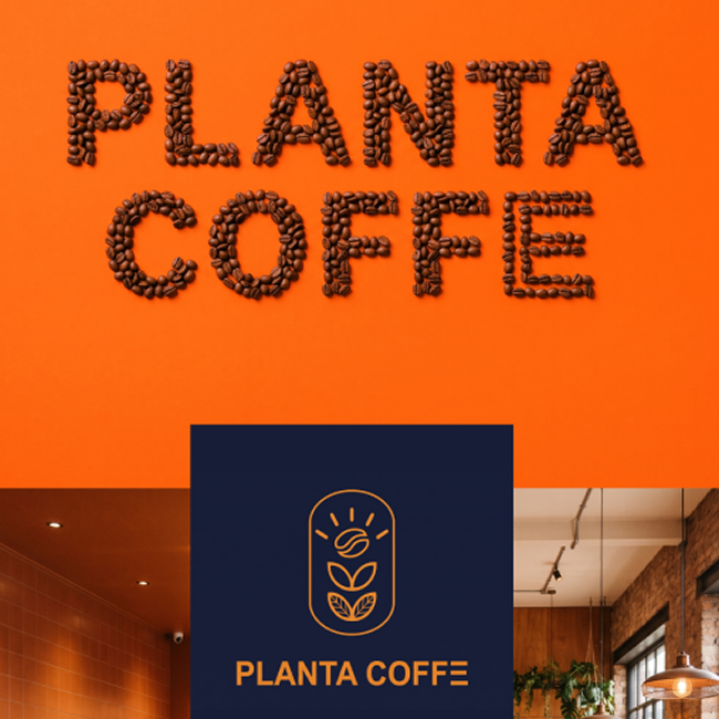 Planta Coffe